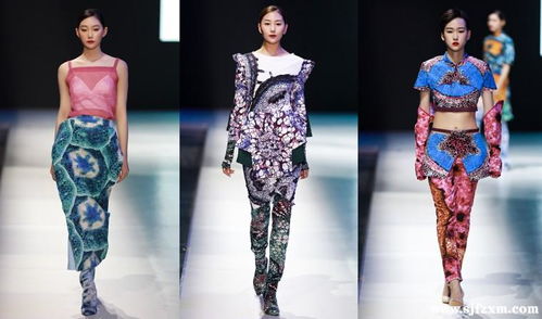 第十四届艺术节时尚科学 北京大学服装融合技术与零售新趋势